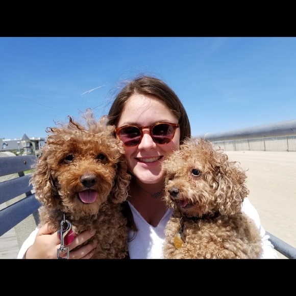 Meet your Posher, Evie - Picture 1 of 1